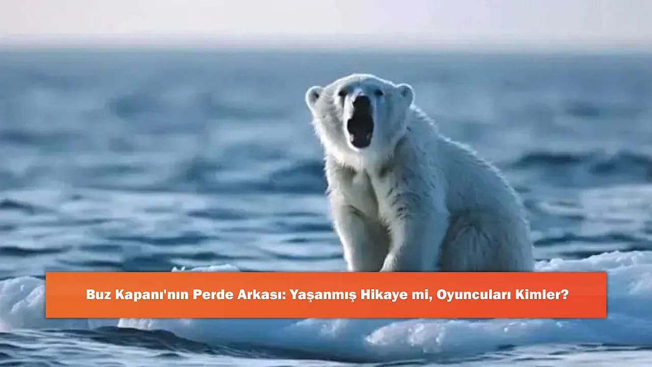 Buz Kapanı'nın Perde Arkası: Yaşanmış Hikaye mi, Oyuncuları Kimler?