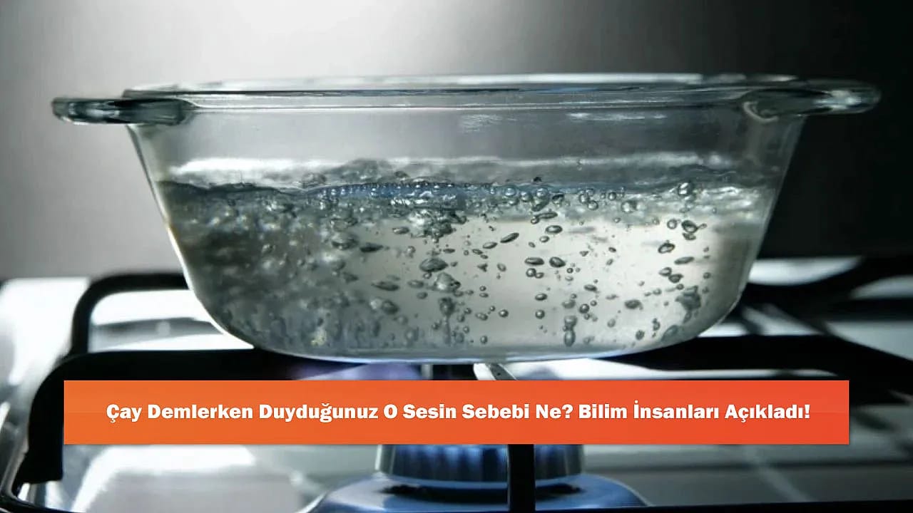 Çay Demlerken Duyduğunuz O Sesin Sebebi Ne? Bilim İnsanları Açıkladı!