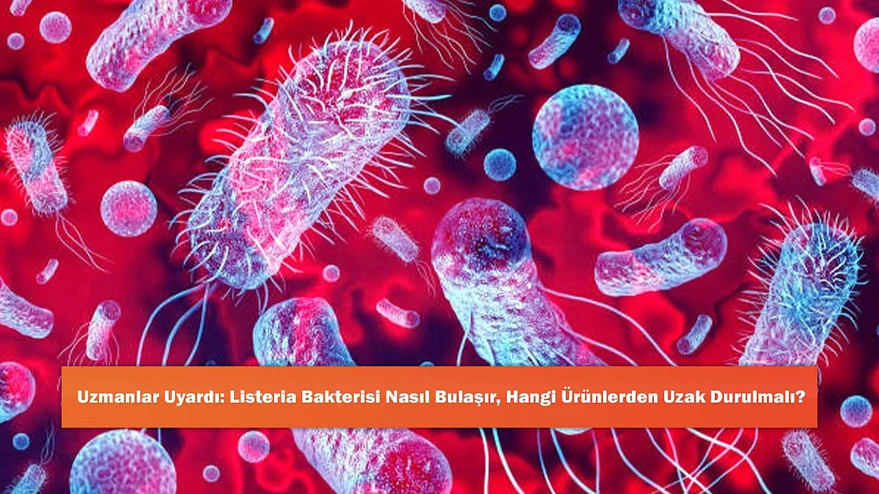 Uzmanlar Uyardı: Listeria Bakterisi Nasıl Bulaşır, Hangi Ürünlerden Uzak Durulmalı?