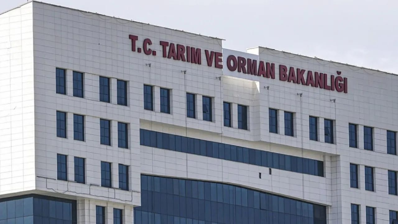 Bakanlık O Peyniri Toplatıyor! Laboratuvar Sonucu Sonrası Karar Çıktı