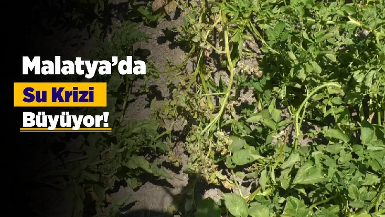 Deprem Sonrası Malatya Konak Mahallesi'nde Tepki! Su Yok, Yol Yok, Hizmet Bekleniyor
