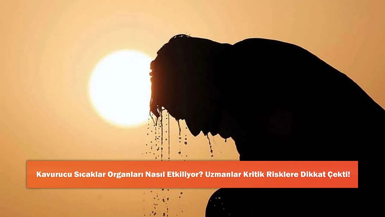 Kavurucu Sıcaklar Organları Nasıl Etkiliyor? Uzmanlar Kritik Risklere Dikkat Çekti!