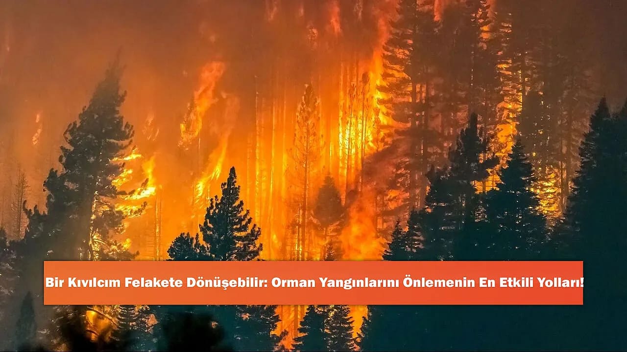 Bir Kıvılcım Felakete Dönüşebilir: Orman Yangınlarını Önlemenin En Etkili Yolları!